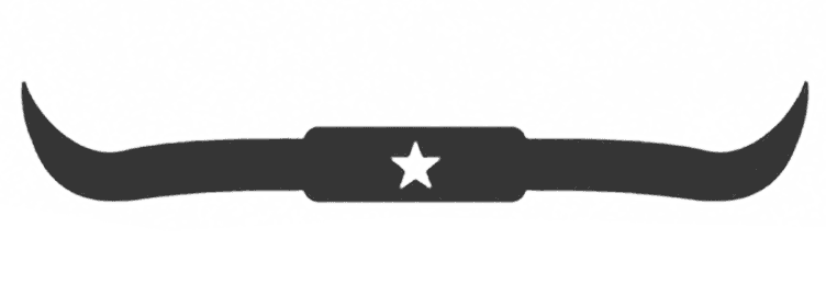 Texas Auto Solutions horns watermark